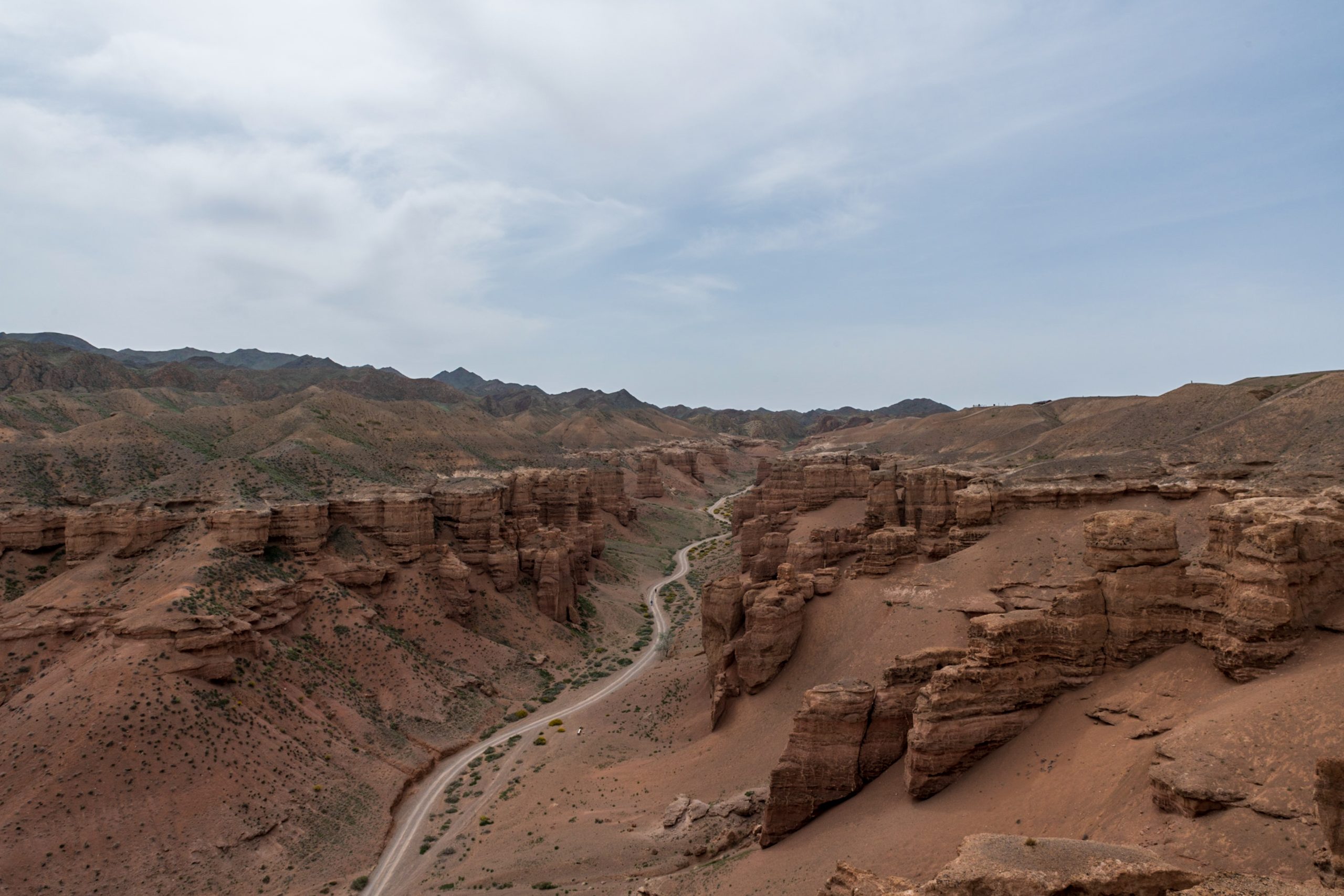 DSC_5134-scaled